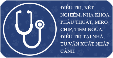 Điều trị và xét nghiệm